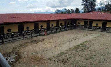 FINCA EN VENTA EN FUSAGASUGA