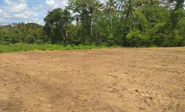 Kavling Cocok Bangun Kost, Depan Pabrik Sepatu Pekalongan: SHM Unit