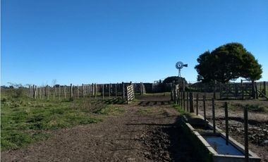 VENTA DE CAMPO FRACCIÓN DE 175 HECTREAS EN CORONEL VIDAL
