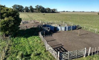 VENTA DE CAMPO FRACCIÓN DE 175 HECTREAS EN CORONEL VIDAL