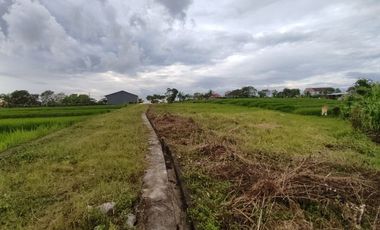 INVESTASI VILLA DI CANGGU BALI TANPA RIBET FREE FURNISHED