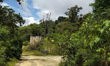 Lote en Venta en Reserva Ecológica