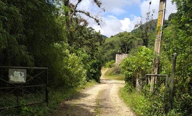 Lote en Venta en Reserva Ecológica