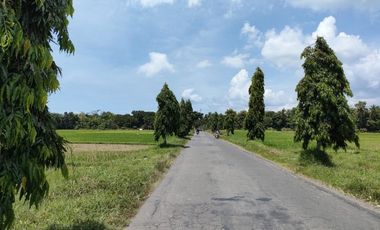 Kavling Tanah SHM, 10 Menit Pasar Jenar Purworejo