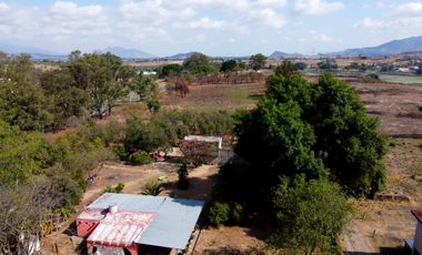 TERRENO PLANO DE 3 HECTÁREAS FRENTE AL ROBLE.