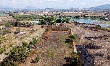 TERRENO PLANO DE 3 HECTÁREAS FRENTE AL ROBLE.