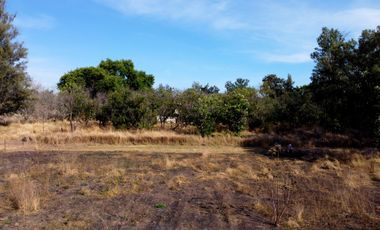 TERRENO PLANO DE 3 HECTÁREAS FRENTE AL ROBLE.