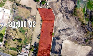 TERRENO PLANO DE 3 HECTÁREAS FRENTE AL ROBLE.