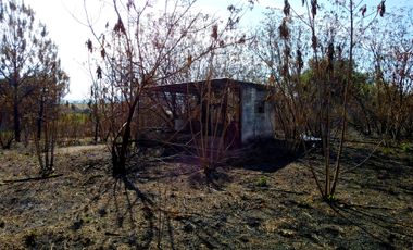 TERRENO PLANO DE 3 HECTÁREAS FRENTE AL ROBLE.