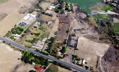TERRENO PLANO DE 3 HECTÁREAS FRENTE AL ROBLE.