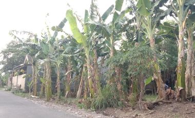 PROMO RUMAH MURAH SIAP BANGUN