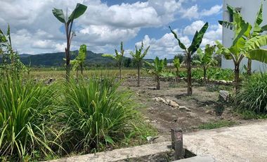 Rumah Murah Di Klaten, Idaman Banyak Orang!!!