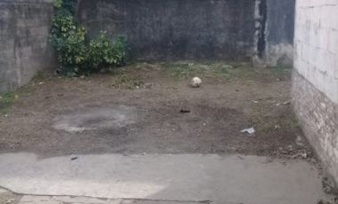 3 DE FEBRERO 348  VGG