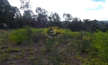 Terreno de venta en Sector Chuquipata – código:11007