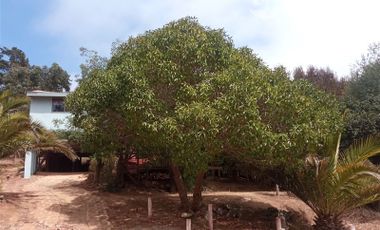 Parcela en Venta en Fundo Curaumilla Laguna Verde