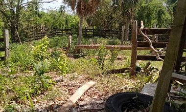 En venta hermoso rancho a 15 minutos de Tizimín, Yucatán.