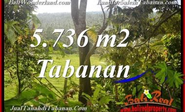 5.736 m2 View Kebun & Sungai Kecil Hanya 270 rb/m di Selemadeg