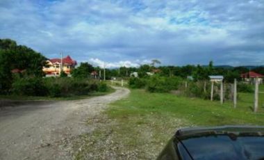 Beach Lot for Sale in Tammocalao, Bacnotan, La Union