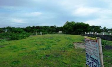 Beach Lot for Sale in Tammocalao, Bacnotan, La Union