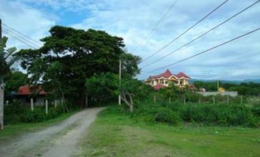 Beach Lot for Sale in Tammocalao, Bacnotan, La Union