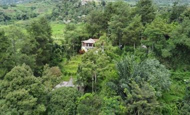 MP140 Rp 350 Rb/m2 || Dijual MURAH Tanah Untuk Resort & Villa Pasirjaya Cigombong Bogor || LT : 1 HA
