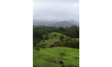 VENDO FINCA GANADERA850 HECATREAS