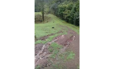 VENDO FINCA GANADERA850 HECATREAS