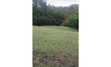 VENDO FINCA GANADERA850 HECATREAS