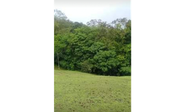 VENDO FINCA GANADERA850 HECATREAS