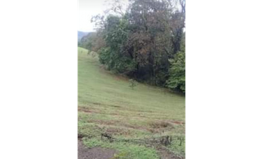 VENDO FINCA GANADERA850 HECATREAS
