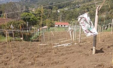 finca en venta en la ceja. Cod V10660