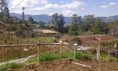 finca en venta en la ceja. Cod V10660