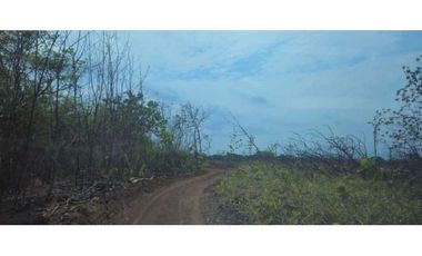 VENDO FINCA DE 120 HAS SAN LORENZO