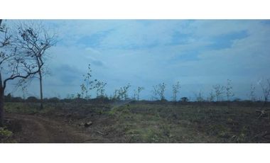 VENDO FINCA DE 120 HAS SAN LORENZO