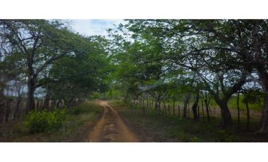 VENDO FINCA DE 120 HAS SAN LORENZO