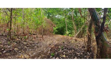 VENDO FINCA DE 120 HAS SAN LORENZO