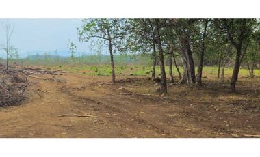 VENDO FINCA DE 120 HAS SAN LORENZO