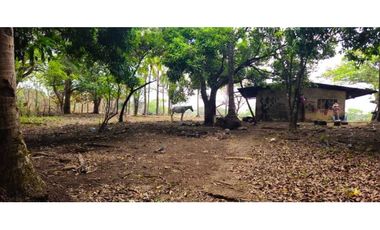 VENDO FINCA DE 120 HAS SAN LORENZO