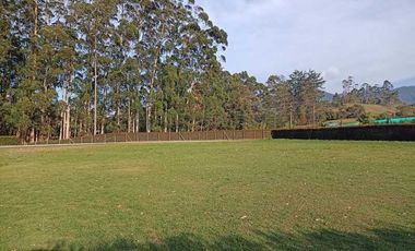 LOTE PARA VENTA EN EL CARMEN DE VIBORAL