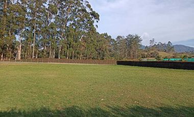 LOTE PARA VENTA EN EL CARMEN DE VIBORAL