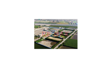 Venta De Lote De Terreno En San Vicente De Cañete