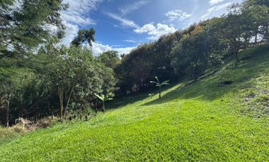 finca en arriendo/venta en alto grande. Cod A212959