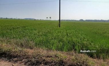 Cari Tanah Murah Kertajati Majalengka dekat Toll Cipali