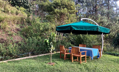 finca en venta en entrebosques la luz. Cod V400244