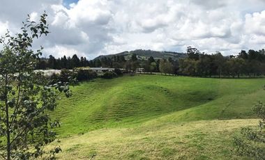 PR13517 SE ARRIENDA APARTAMENTO EN SECTOR ALTO DE LAS PALMAS / EL POBLADO