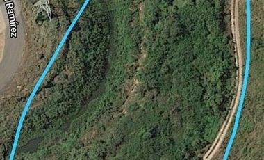 332 HECTÁREAS EN CIHUATLÁN JALISCO