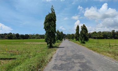 JL. SANGUBANYU PURWOREJO: TANAH 500 RB-AN/M LUASAN 170 M2