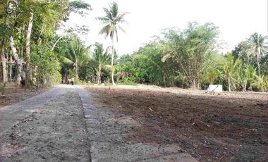 JL. SANGUBANYU PURWOREJO: TANAH 500 RB-AN/M LUASAN 170 M2