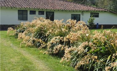 VENTA FINCA EN SAN FELIX