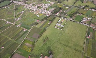 VENDO TERRENO 10,000 M2 PAMPA DE ANTA CUSCO PERU